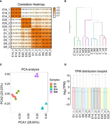 RNA-seq Based Transcriptome Analysis Reveals The Cross-Talk of Macrophage and Adipocyte of Chicken Subcutaneous Adipose Tissue during The Embryonic and Post-Hatch Period